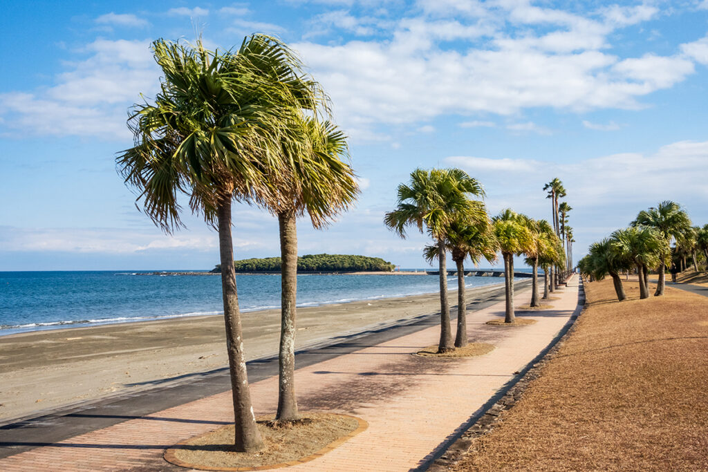 トロピカルロード