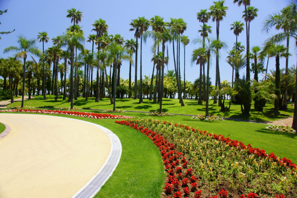 ボタニックガーデン青島