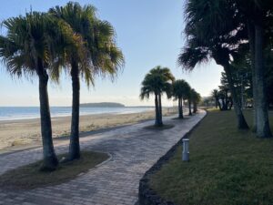 トロピカルロード