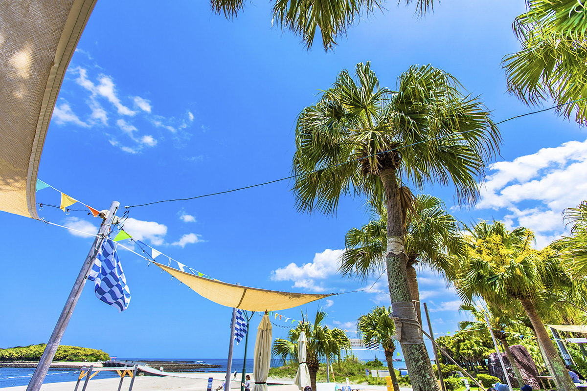 青島ビーチパーク