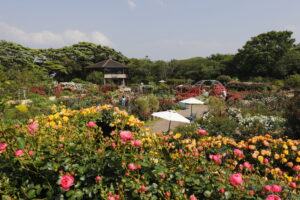 ローズガーデン