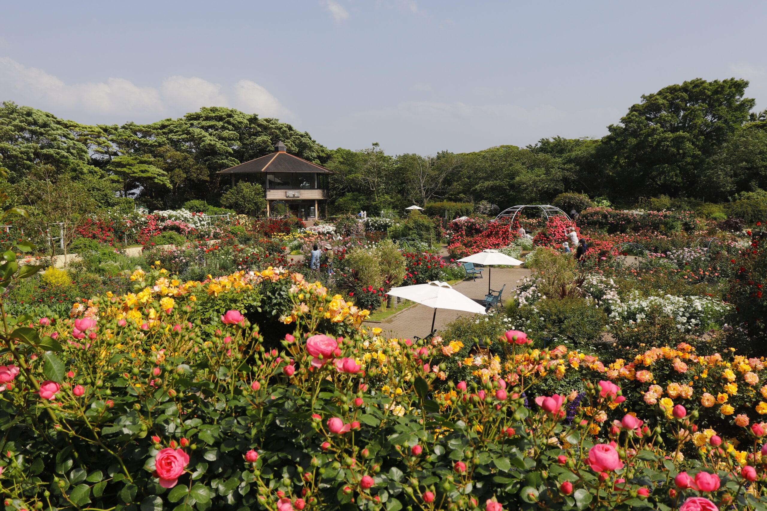 ローズガーデン