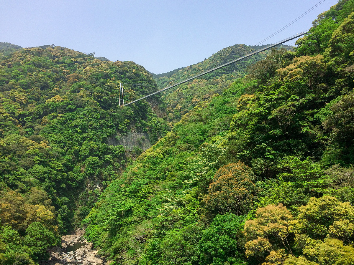 照葉大吊橋
