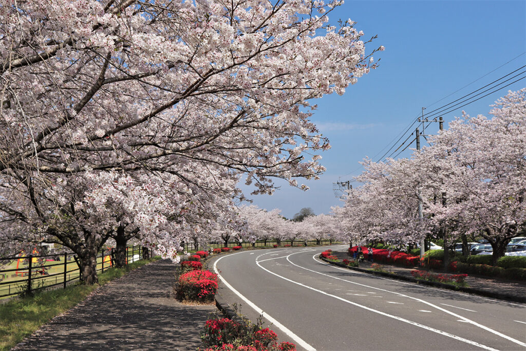 高城観音池公園