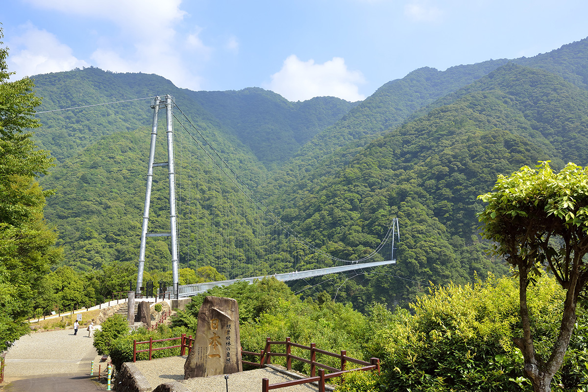 照葉大吊橋