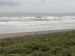 2026.5.25波