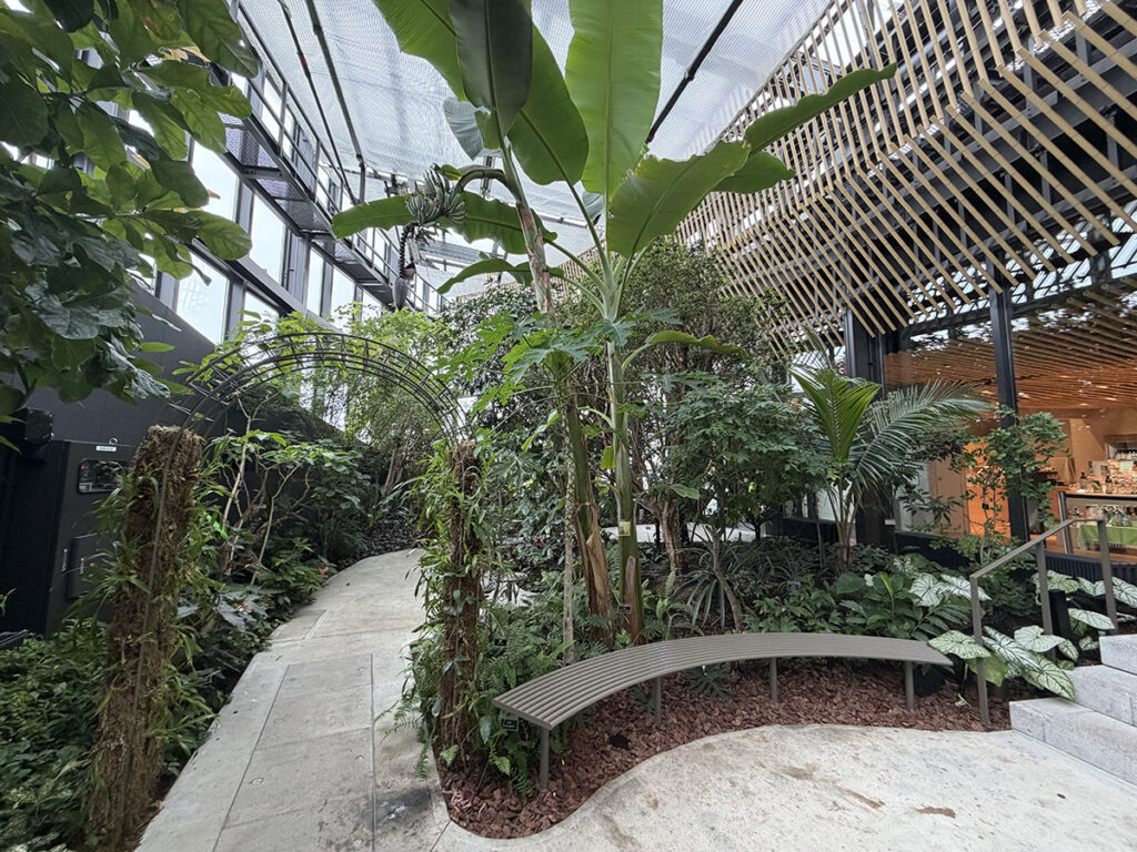 icoia植物園