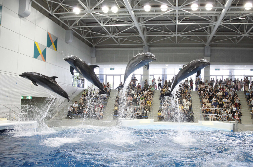 かごしま水族館