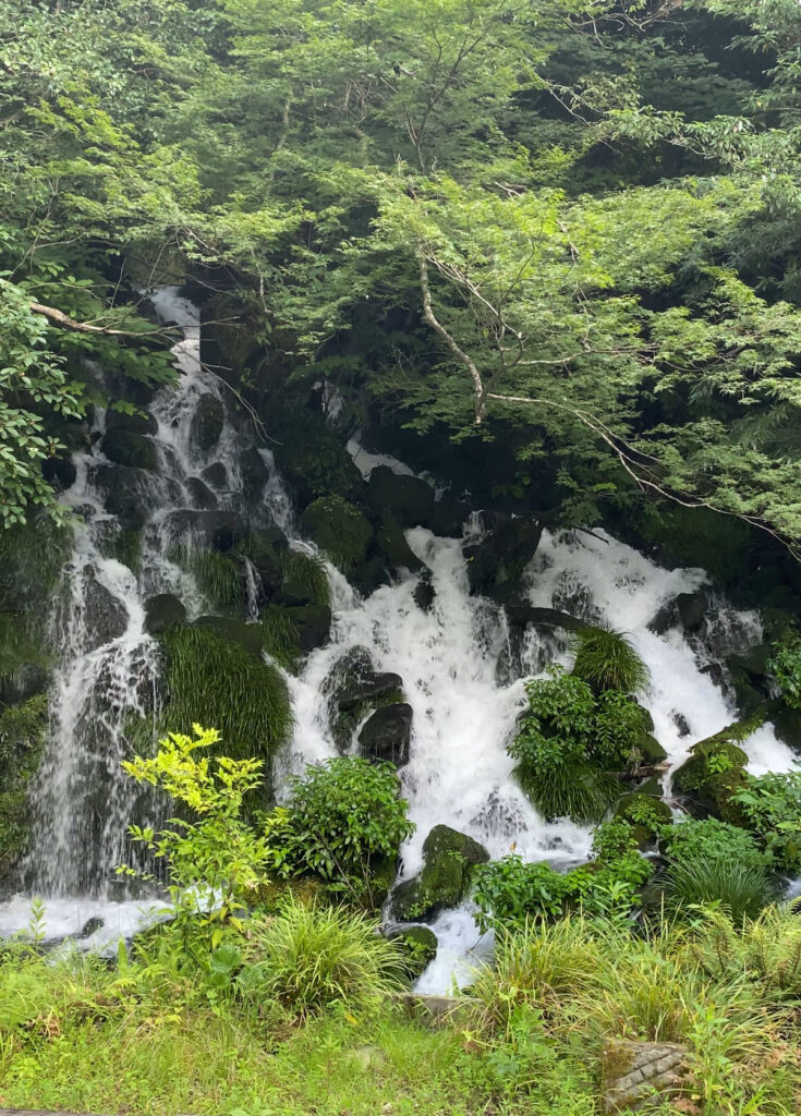 みたらしの滝