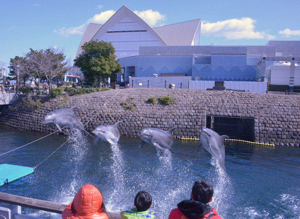 かごしま水族館
