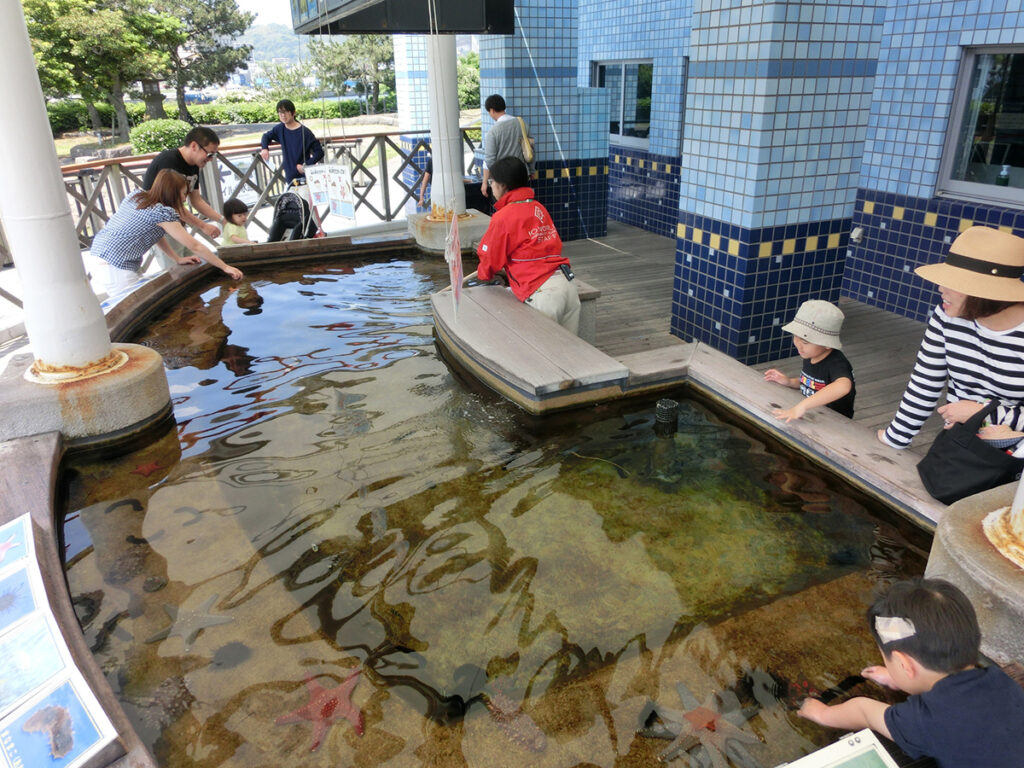 かごしま水族館
