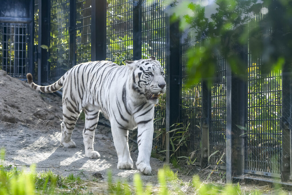 平川動物公園