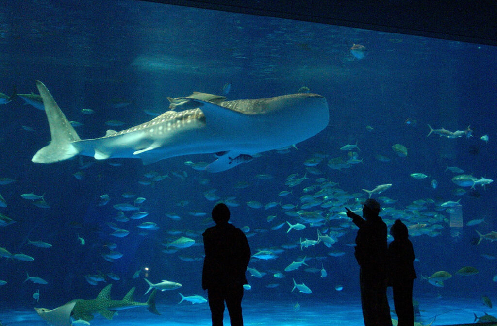 いおワールドかごしま水族館