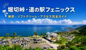 道の駅フェニックスアイキャッチ