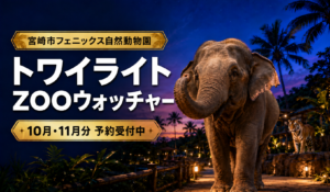 トワイライトZOOウォッチャー10月・11月